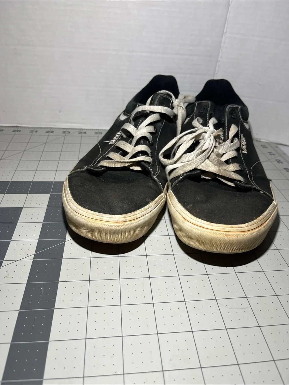 Vans Black and White Low-Top Skate Sneakers